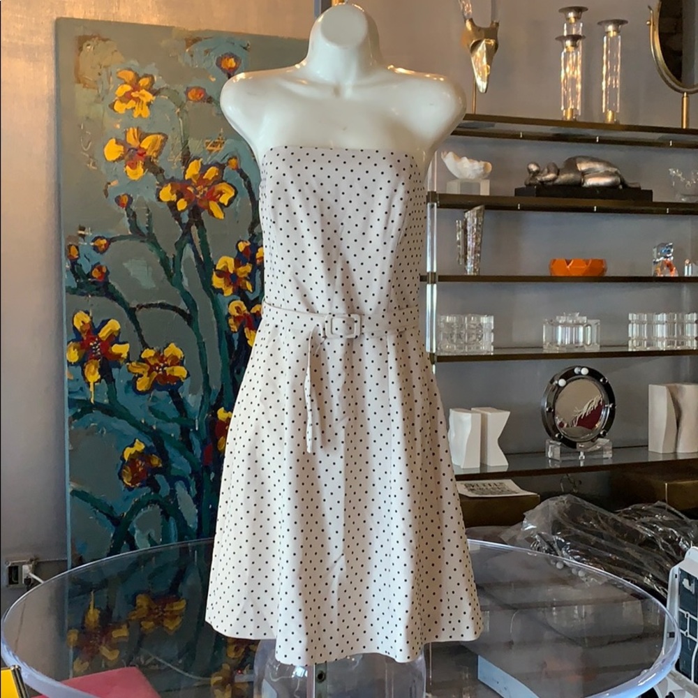 Poker Dot Dress Made in the USA by Robin Jordan